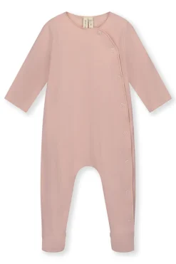 Baby boxpak rose