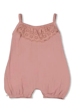 Baby boxpak rose