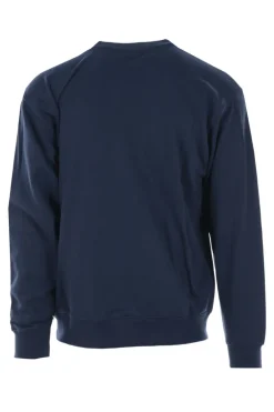 Casual heren trui blauw