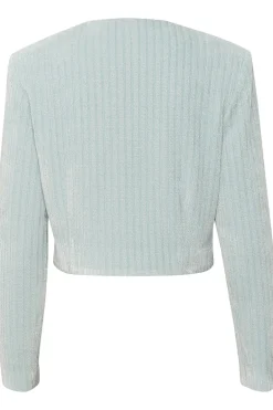 Dames blazer blauw