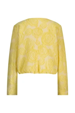 Dames blazer geel