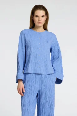 Dames blouse lange mouw blauw