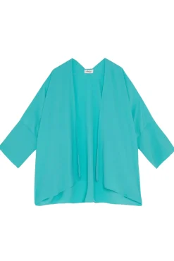 Dames blouse lange mouw blauw