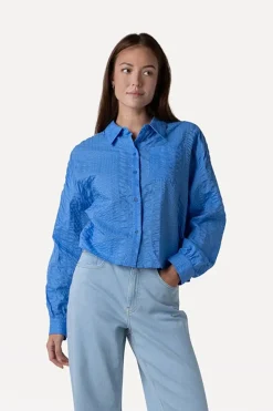 Dames blouse lange mouw blauw