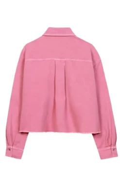 Dames blouse lange mouw diversen