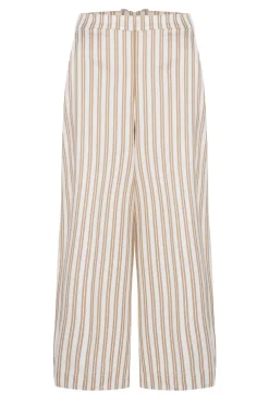 Dames broek bruin