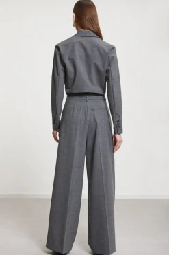 Dames broek grijs