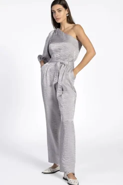 Dames jumpsuit/tuinbroek zilver