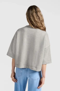 Dames sweater grijs