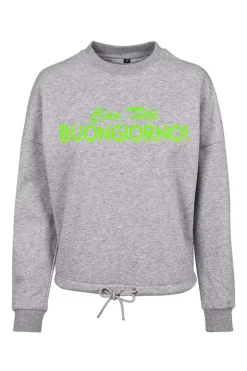 Dames sweater grijs