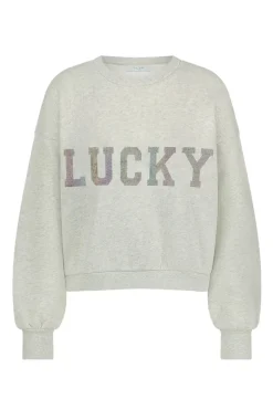 Dames sweater grijs