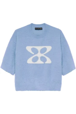 Dames trui blauw