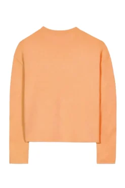 Dames trui oranje