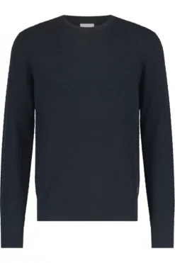 Heren trui blauw