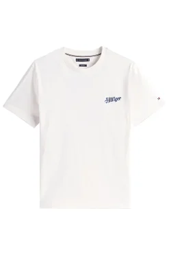 Heren t-shirt kortemouw bruin