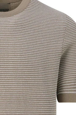 Heren t-shirt kortemouw bruin