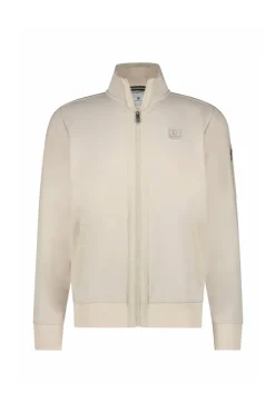 Heren vest grijs
