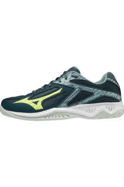 Indoorschoen heren blauw