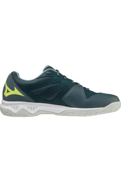 Indoorschoen heren blauw