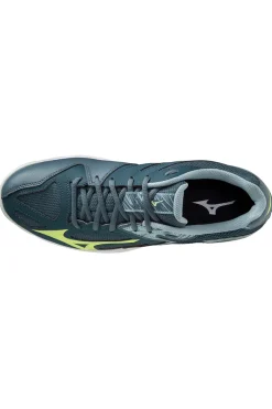 Indoorschoen heren blauw