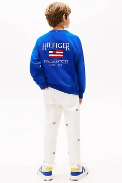 Jongens sweater blauw