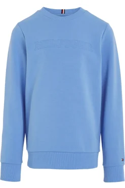 Jongens sweater blauw