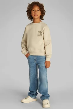 Jongens sweater bruin