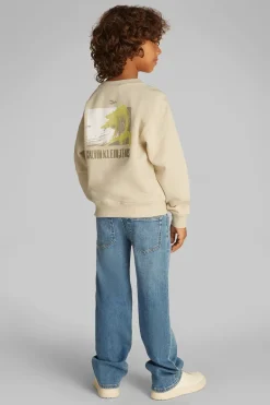 Jongens sweater bruin