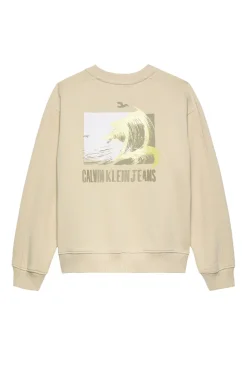 Jongens sweater bruin