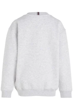 Jongens sweater grijs