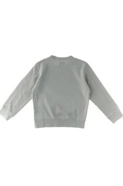 Jongens sweater grijs