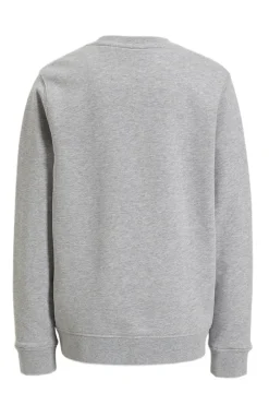 Jongens sweater grijs