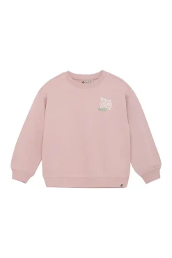 Jongens sweater rose