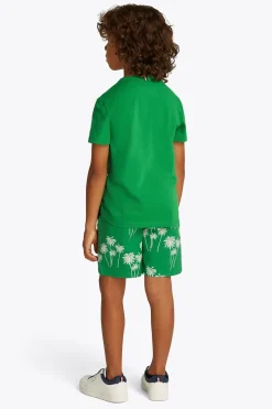 Jongens t-shirt korte mouw groen