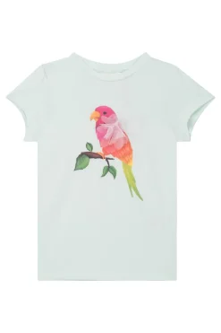 Meisjes t-shirt korte mouw groen