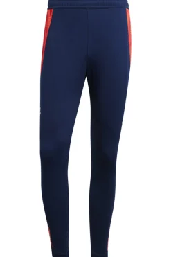 Voetbal heren replicapak blauw